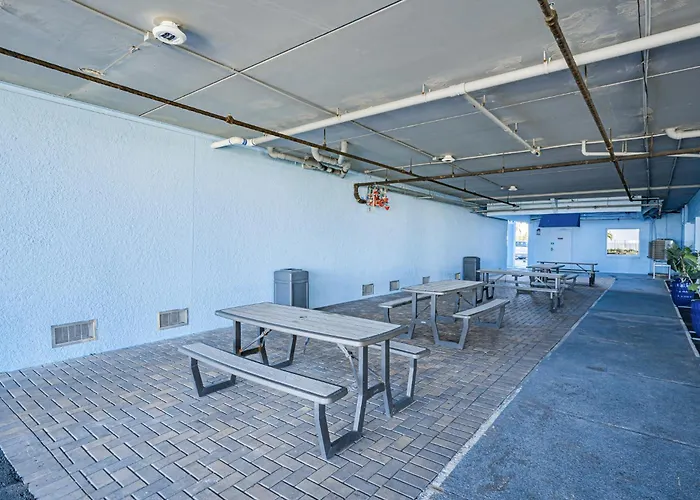 Dollar 204 Apartment